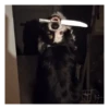 Perros | Reacciones 🐾🍁 5