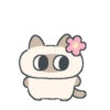 Gatito Siames 🐱 13