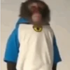 Monos 3🐒 changos🙈 10