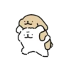 Kakao friends maltese 2 9