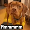 Mmmmmm