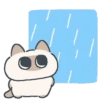 Gatito Siames 🐱 16