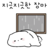 지긋지긋한 장마