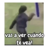vas a ver cuándo te vea!