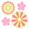 Sakura flowers 🌸 MOV 15