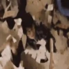 Harry Potter 🧙‍♂️ Mov 8