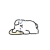 Kakao friends maltese 3 11