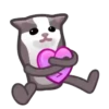 Gatos😺💞7🇵🇪Movi 12