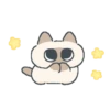 Gatito Siames 🐱 18