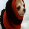 Frio 7