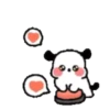 Cute white puppy 2🐶🤍 MOV 6