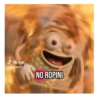 Tik Tok ack8029 NO ROPINI