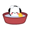 Cute white puppy 🐶🤍 MOV 10