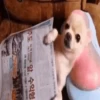 🐶Chihuahua 🐶Mov 22