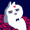Bowtia Cat 6 15