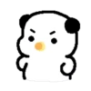 Cute white puppy 🐶🤍 MOV 12