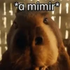 Capibara 🌱🌱 9