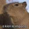 Capibara 🌱🌱 10