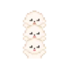 pixel cat 16