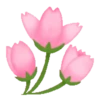 Sakura flowers 🌸 MOV 17