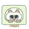 Gatito Siames 🐱 19