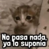Mix Frases para Responder #5 6