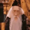 Harry Potter 🧙‍♂️ Mov 16