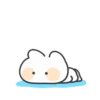fluffy meow meow cute cat 2 14
