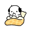 Cute white puppy 🐶🤍 MOV 15