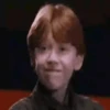 Harry Potter 🧙‍♂️ Mov 17