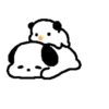 Cute white puppy 🐶🤍 MOV 16