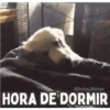 @Harley Stickers HORA DE DORMIR