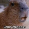 Capibara 🌱🌱 12