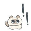 Gatito Siames 🐱 20