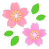 Sakura flowers 🌸 MOV 21