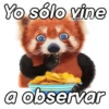Animales Random pa contestar 💬 16