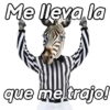 Animales Random pa contestar 💬 9