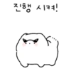 진행 시켜!