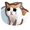Gatos😺💞7🇵🇪Movi 19