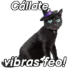 Animales Random pa contestar 💬 5