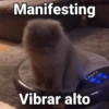 Gatos pa Responder🐱🌼 5