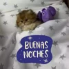 Animales🦒🐕🐈2 19