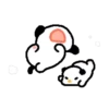 Cute white puppy 🐶🤍 MOV 17