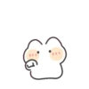 fluffy meow meow 5 16