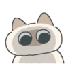 Gatito Siames 🐱 24