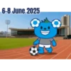 Int Youth Invitational Football Charity Cup 6