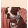 sad 21