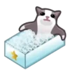 Gatos😺💞7🇵🇪Movi 23