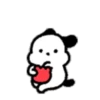 Cute white puppy 2🐶🤍 MOV 11