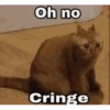 Meme GIF Stickers - #3 🎞 24